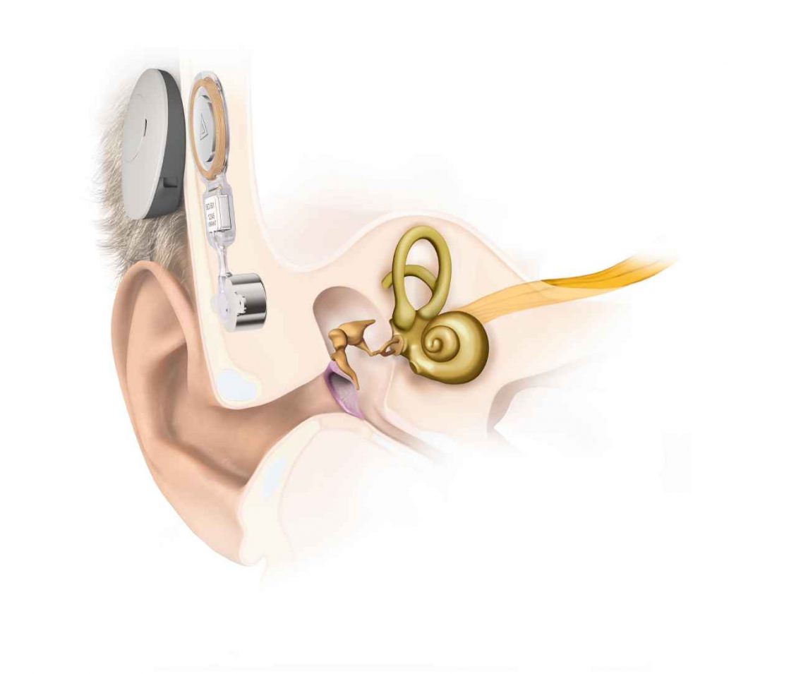 EarAnatomy_VBB_SAMBA